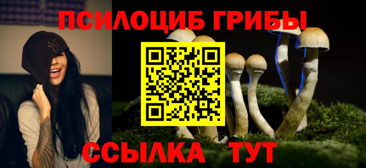 Галлюциногенные грибы ЛСД  Вход с VPN  Гурьевск 