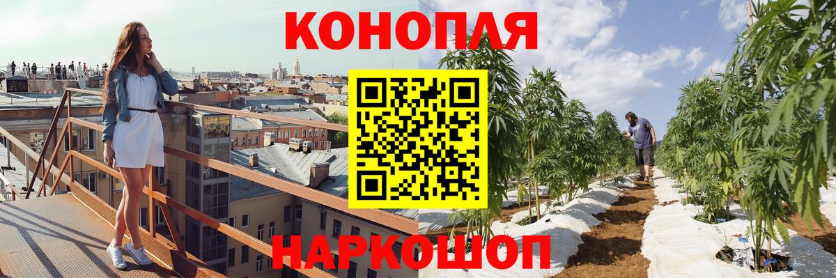 Бошки Шишки THC 21%  Конопля план  Вход с VPN  Бошки марихуана THC 21%  Бошки марихуана Ganja  Гурьевск 